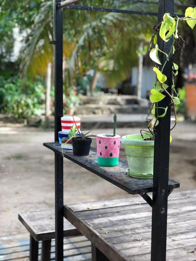 Crucero Tulum Bed & Breakfast Bagian luar foto