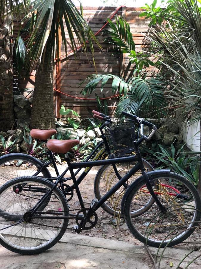 Crucero Tulum Bed & Breakfast Bagian luar foto