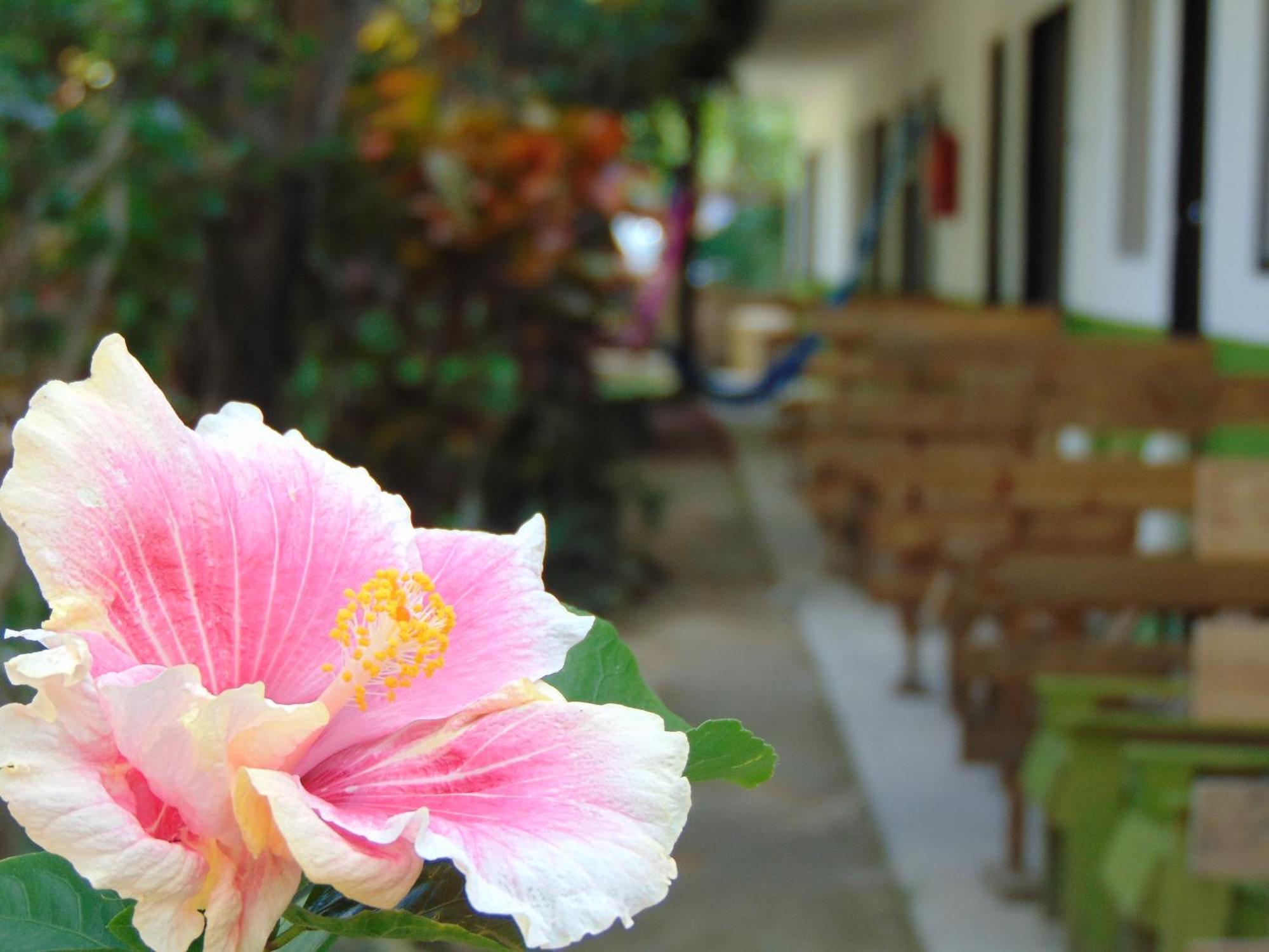 Crucero Tulum Bed & Breakfast Bagian luar foto